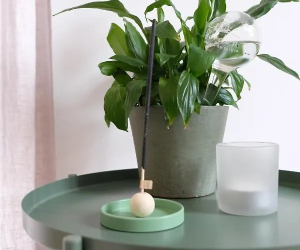 La Casa Di Ringhiera Alba (Piedmont)